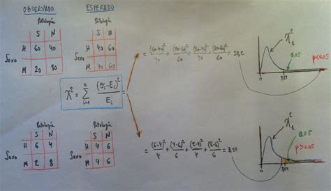 Tema 8 RelaciÓn Entre Variables Cualitativas El Test De La Ji Cuadrado La EstadÍstica Una