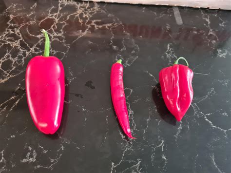 First Fermented Hot Sauce Hotsaucerecipes