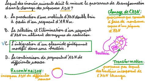 Vid O Question Comprendre Le R Le De La Transformation Dans Le