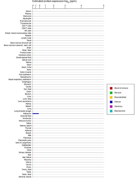 RNF19A Gene GeneCards RN19A Protein RN19A Antibody