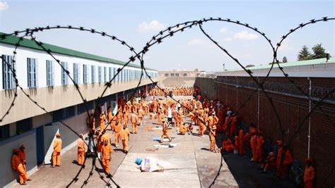 Correctional Services dept launches Operation Vala - SABC News - Breaking news, special reports ...