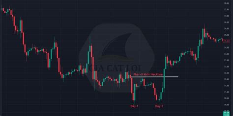 Mô Hình Giá Hai Đáy Double Bottom Cách Giao Dịch Gia Cát Lợi