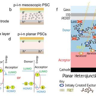 Threeelectrode And Twoelectrode Configurations Of Pscslibs A