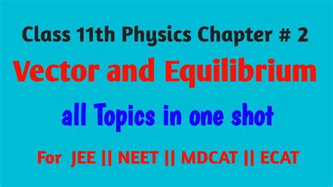 Vector And Equilibrium Class 11 Physics In One Shot JEE NEET