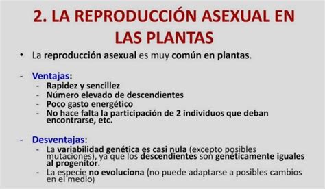 Ventajas Y Desventajas De La Reproducci N Sexual En Plantas Brainly Lat