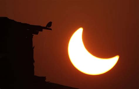 Solar eclipse 2022: Vivid photos of the event