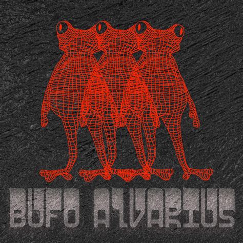 Bufo Alvarius A Mérgező Pszichedelikus Varangy és Az újpunk Keret