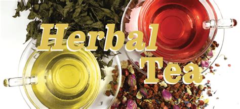 Health Benefits Of Herbal Tea Tea And