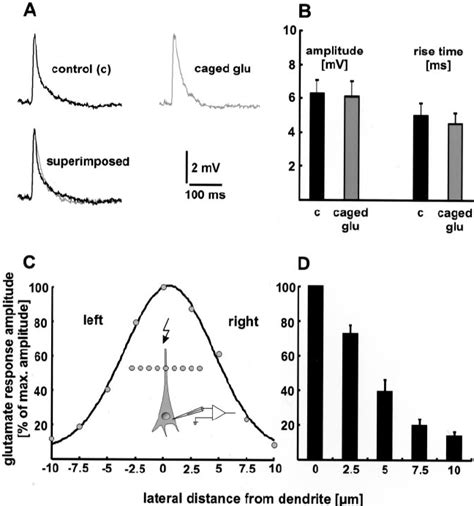 Characterization Of Infrared Guided Laser Stimulation A B Caged