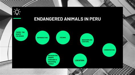 ENDANGERED ANIMALS IN PERU by Luis Alexis Arias Ruiz on Prezi