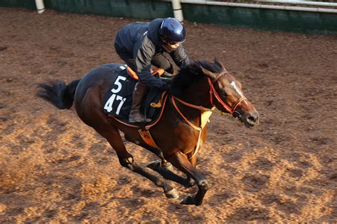 土曜メインレースの注目激走馬東京11r・東京スポーツ杯2歳ステークス・g2 Umatoku 馬トク