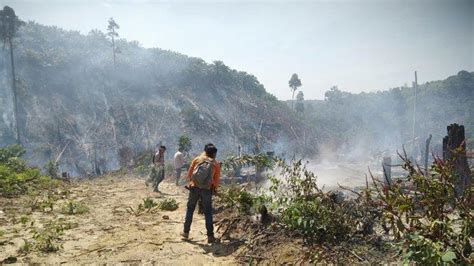 Hutan Lindung Bukit Suligi Rohul Riau Terbakar Seluas 3 Hektare Begini