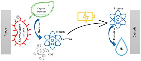 Energies Free Full Text Biohydrogen Production In Microbial