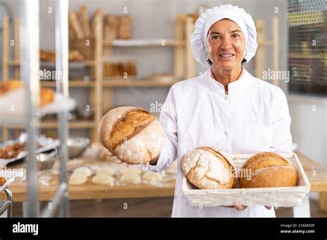 Portrait Of Positive Mature Woman Bakery Worker Stock Photo Alamy