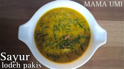 Resep Sayur Pakis Sayur Lodeh Pakis YouTube