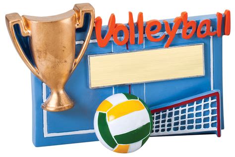 Volleyball Winners Cup Resin | Cincinnati Recognition Awards