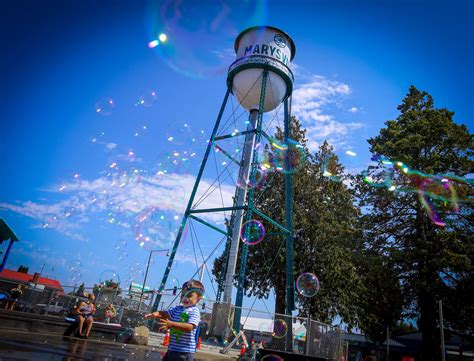 This hidden marysville wa park is a secret local gem for families