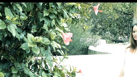 The House Of Dreams Vol Scene Amateur Porn Feat Jenna J Ross