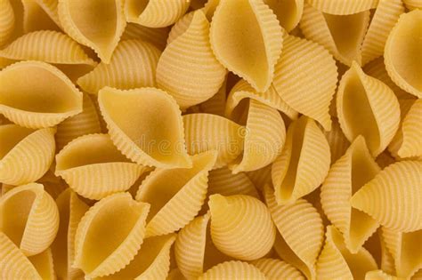 Conchiglie Pasta Shell Stock Image Image Of Lunch Conchiglie