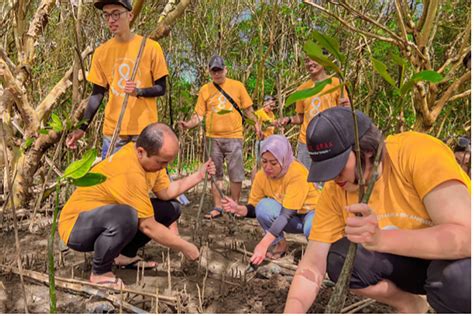 HUT Ke 8 Harper Malioboro Yogyakarta Gelar Donor Darah Dan Penanaman