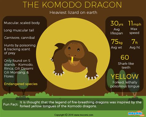 Komodo Dragon Facts and Info - Gifographic for Kids | Mocomi
