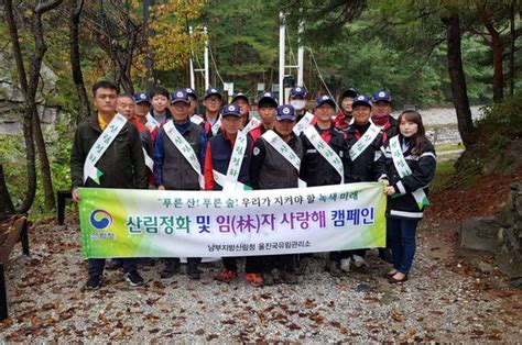 울진국유림관리소 산림정화 및 임자사랑해 캠페인 실시 네이트 뉴스