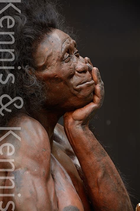 Homo Floresiensis Kennis Kennis Reconstructions