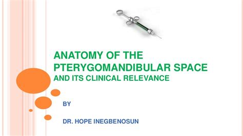 Anatomy Of The Pterygomandibular Space And Its Clinical Significance