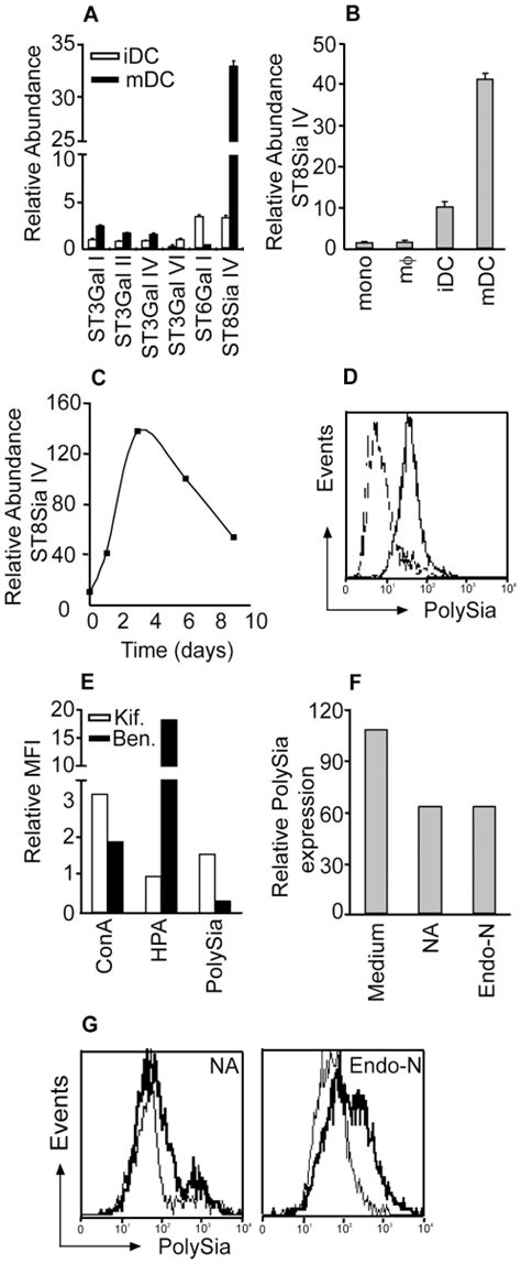 A MRNA Levels Of Sialyltransferase Genes Of IDCs Or MDCs Triggered