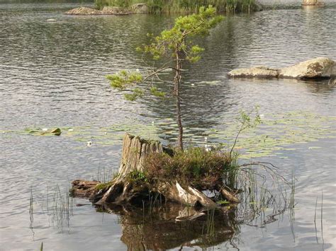 Responsabilidad administrativa ambiental y eficacia de su aplicación en