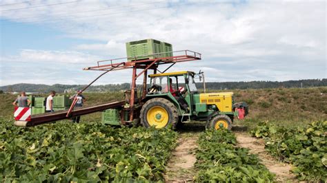 Intensive Vs Extensive Landwirtschaft Was Ist Der Unterschied