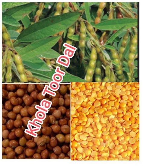 Indian Organic Unpolished Toor Dal High In Protein Packaging Size 30