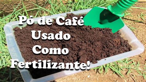 Como Utilizar Pó de Café Usado como Fertilizante Adubo Como fazer