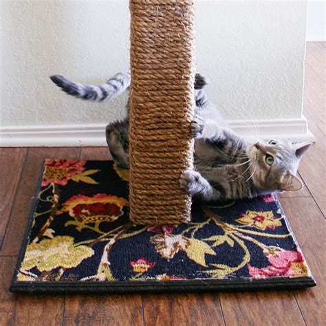 DIY Scratching Post Pictures, Photos, and Images for Facebook, Tumblr ...