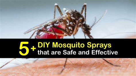 Homemade Mosquito Sprays Clever Ways To Deter Mosquitoes