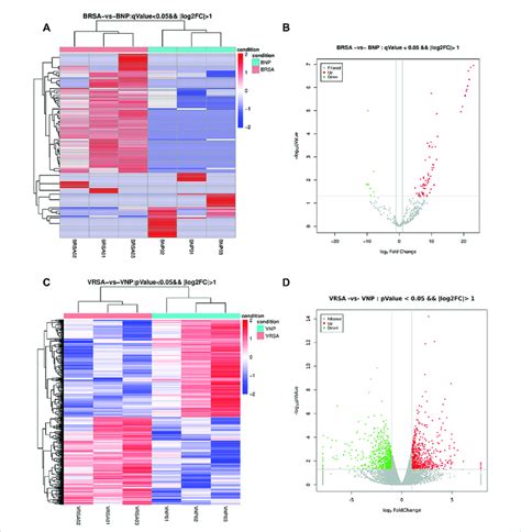 Expression Profiles Of Circulating Mirnas And Placental Mrnas In The Np