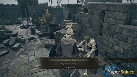 Elden Ring Walkthrough Irina 004 Game Of Guides