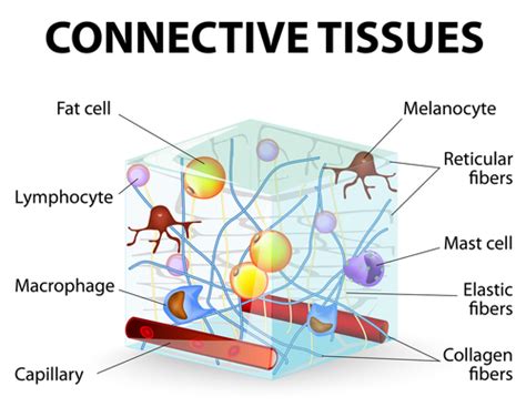 Diagnostic Treatment Differences Between Idiopathic Pulmonary Fibrosis