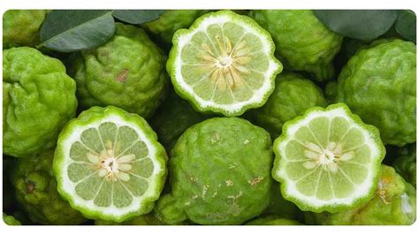 5 Citrus Bergamot Benefits: Dosage & Safety | The Botanical Institute