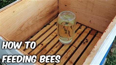 Feeding Bees In A Fall Beekeeping Youtube