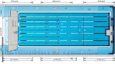 A 2d Layout Of An Olympic Sized Swimming Pool With Lane Markings And