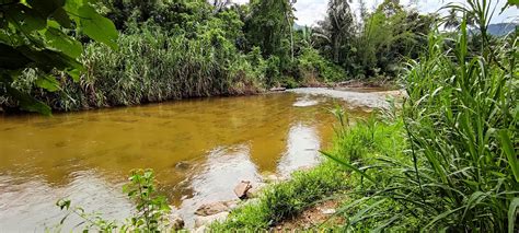 Tepi Sungkai Tanah Pertanian Ekar Untuk Dijual Di Gunung Panjang