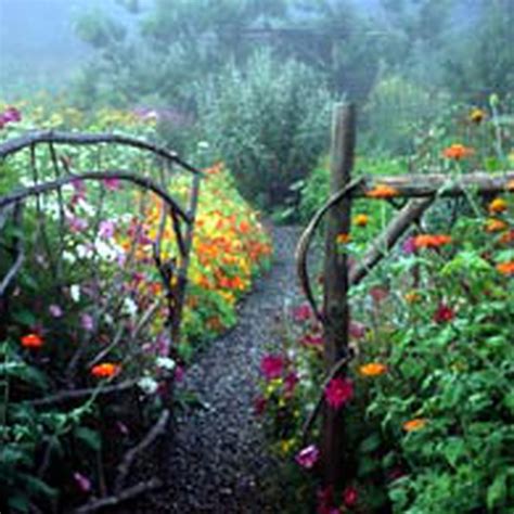 11 Herbs for a Magical Healing Garden – Poppy's Wildcraft, LLC