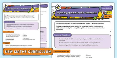 Exploring Symmetry With Minibeasts Teacher Guidance Twinkl