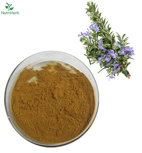 Bulk Rosemary Leaf Extract Carnosic Acid Cas Nutriherb