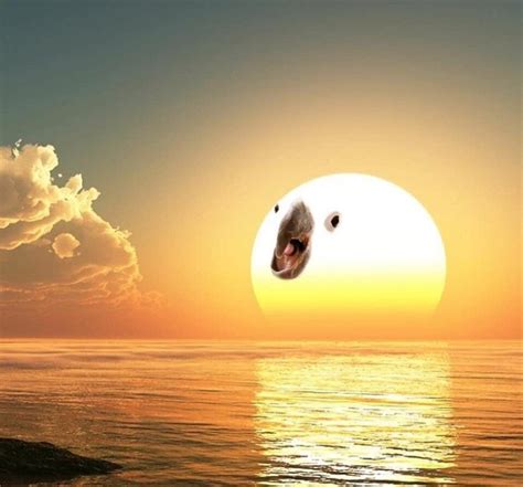 Create Meme Screensaver On Your Desktop The Sun Dawn Beautiful