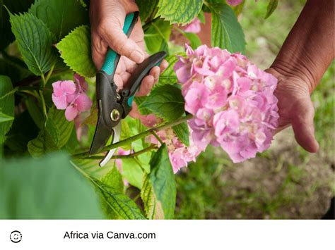 Garden Tasks To Consider For The Busy Month Of April