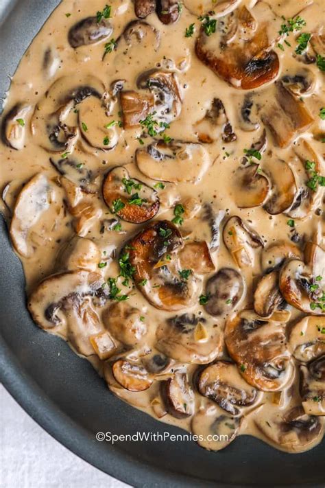 Creamy Mushroom Sauce Easy And Versatile Spend With Pennies