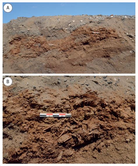 Paleoclimatology | PLOS ONE