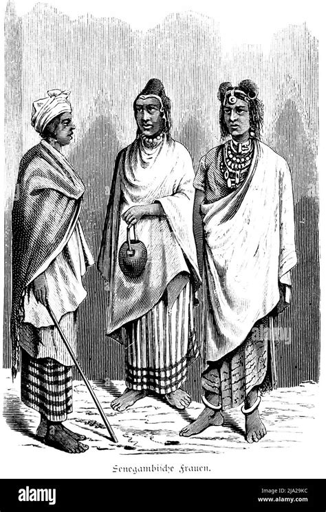 Natives Of Senegal Cut Out Stock Images And Pictures Alamy